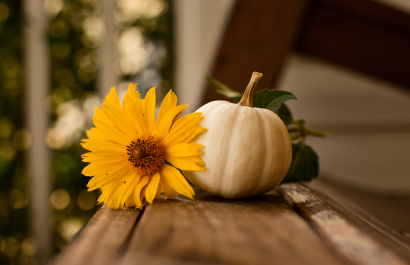 10 Ways to Make Your Fall Open House Extra-Coz